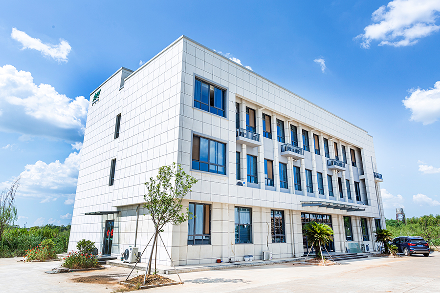 Hình thật của công ty