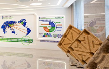 Hộp Pallet có thể gập lại: Một công cụ thiết yếu để cải thiện hiệu quả lưu kho và giảm chi phí hậu cần