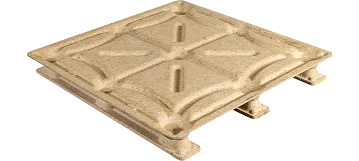 Công ty TNHH Xuất nhập khẩu Ronsun