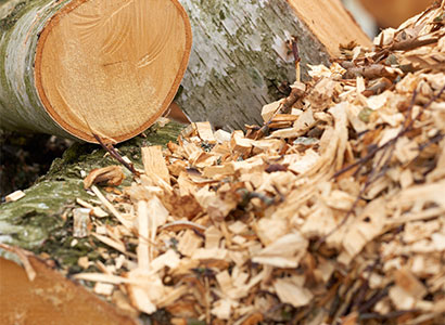 Công ty TNHH Xuất nhập khẩu Ronsun