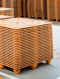 Công ty TNHH Xuất nhập khẩu Ronsun