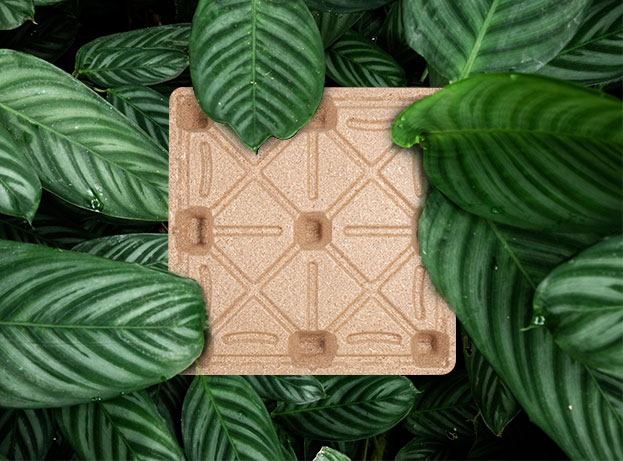 Công ty TNHH Xuất nhập khẩu Ronsun